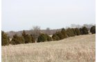Property photo 5 - ABSOLUTE AUCTION - 298 Acres Offered in 4 Tracts